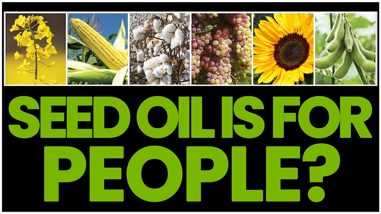 Seed Oils : The Good(?), The Bad & The Ugly Part 2 | A you are what you consume conversation