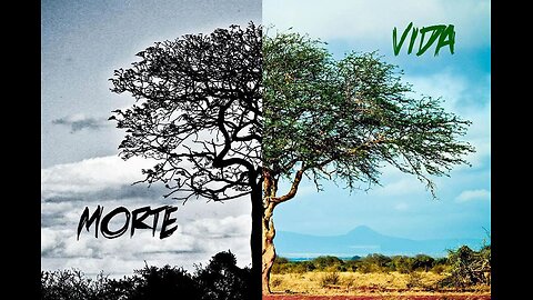 Eu estou Morto para o Mundo!