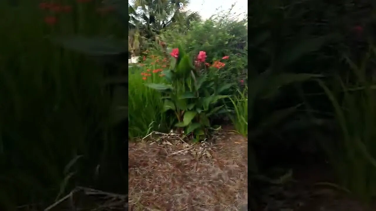 #masonic illegal criminal #gangstalkers should not be glorified as good "heroes" in society!