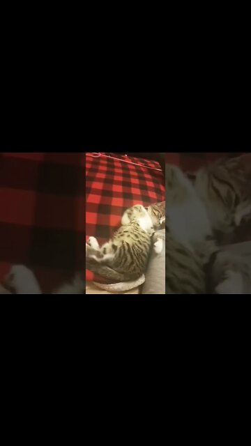 I wish I could fall asleep this easy