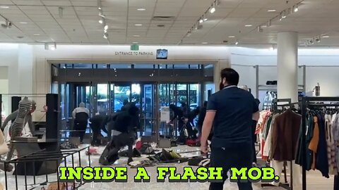 INSIDE A CALIFORNIA FLASH MOB.