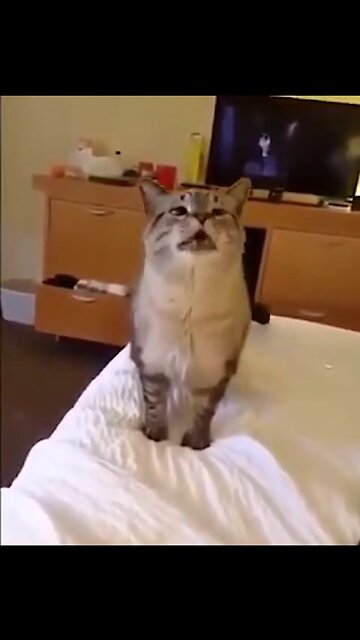 It’s worth the wait, I laughed way to much-hilarious - bless you!