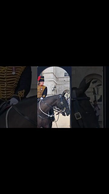 Stand clear of the kings guard she shouts #horseguardsparade