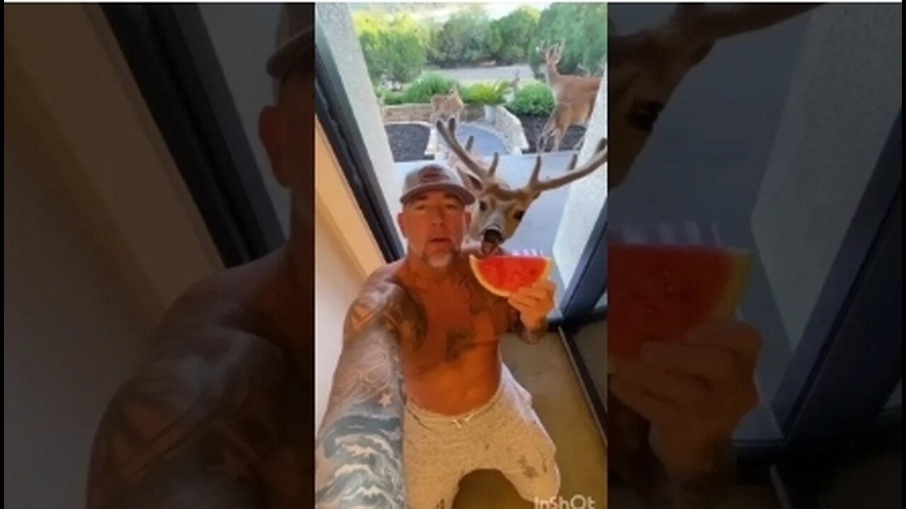 #TryNotToLaughChallenge :Can You Make It Through This Try Not to Laugh Challenge? (99.9% Lose)