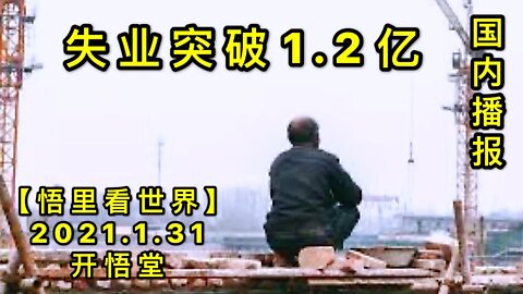 KWT979(2) 失业突破1.2亿 20210131-10【悟里看世界】