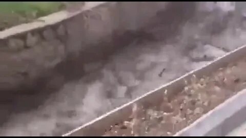 ۲۹ ژوئیهٔ ۲۰۲۲