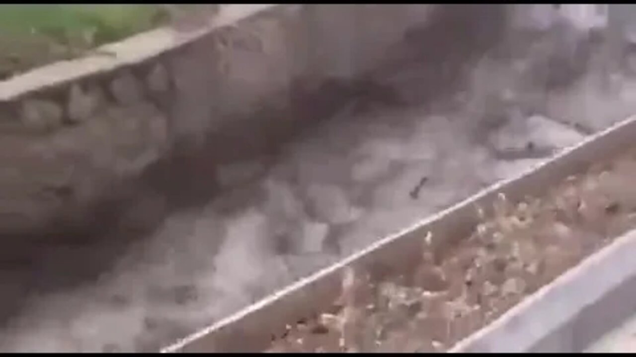 ۲۹ ژوئیهٔ ۲۰۲۲