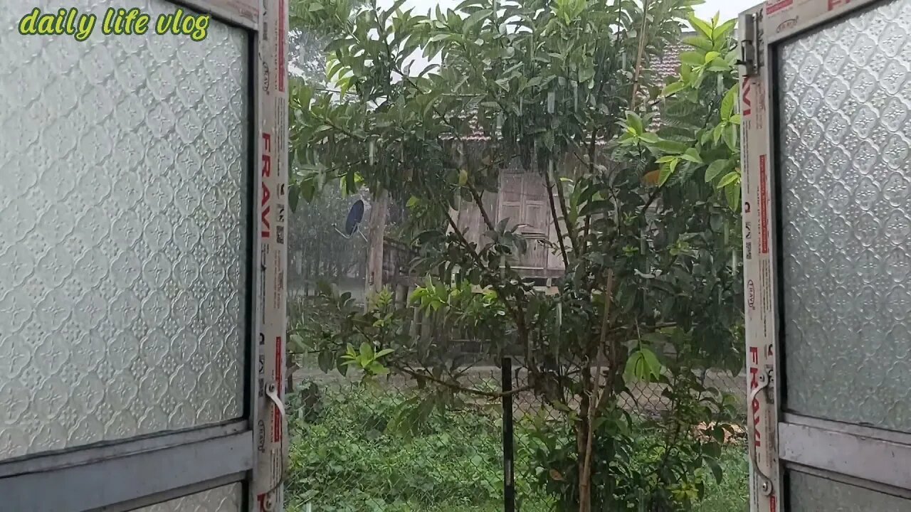 Buy big in the early morning | daily life vlog