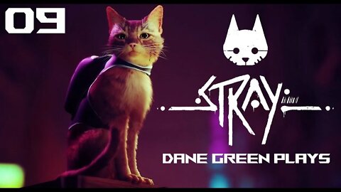 Dane Green Plays Stray Part 09