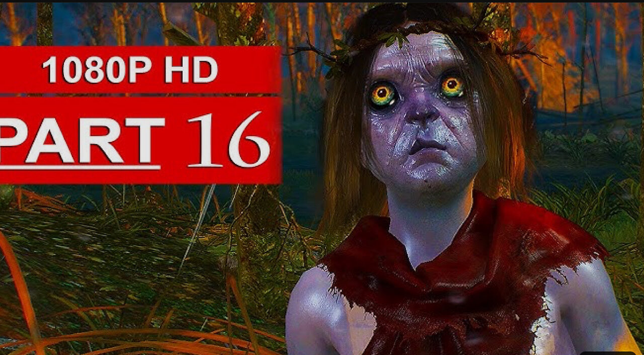 THE WITCHER 3 PART 16