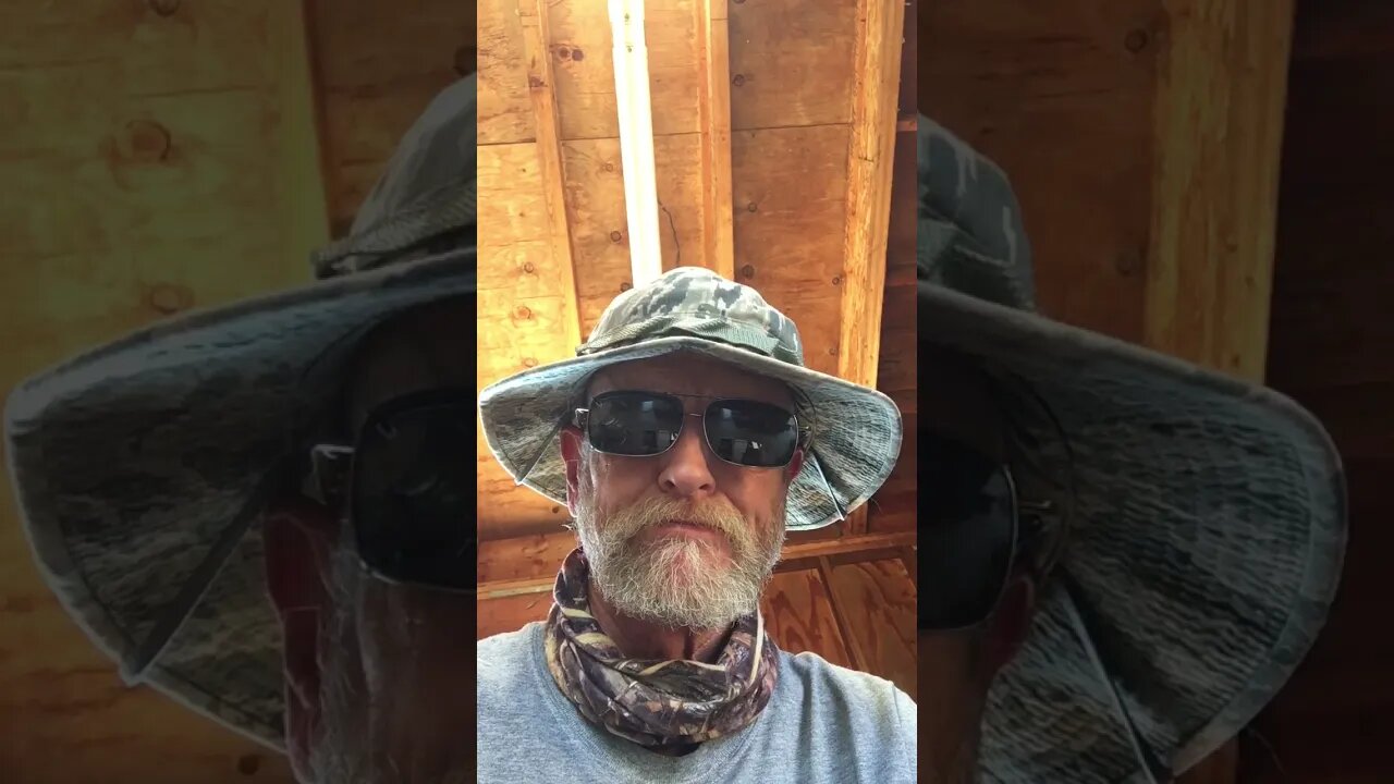 My VR to Jose Nanuel Cavedish 6 questions