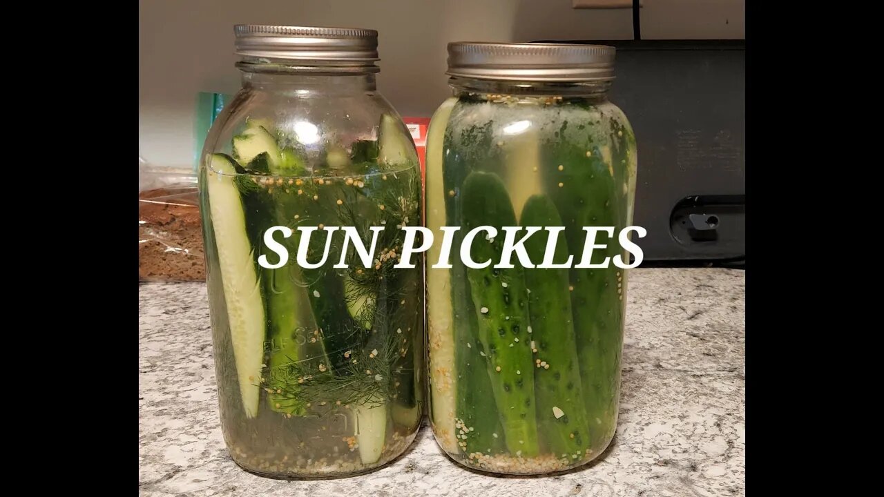 Canning sun pickles with @OurUrbanHomestead