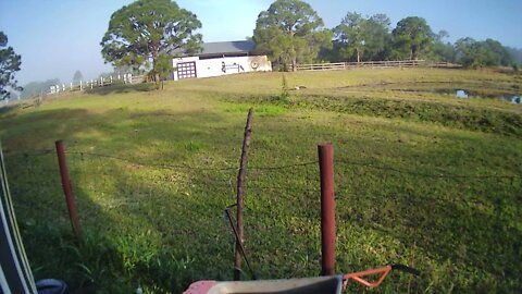 Gator and everything