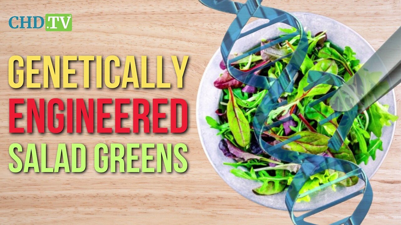 Genetically Engineered Salad Greens coming to Grocery Stores and they won’t be Labeled (Mercola)