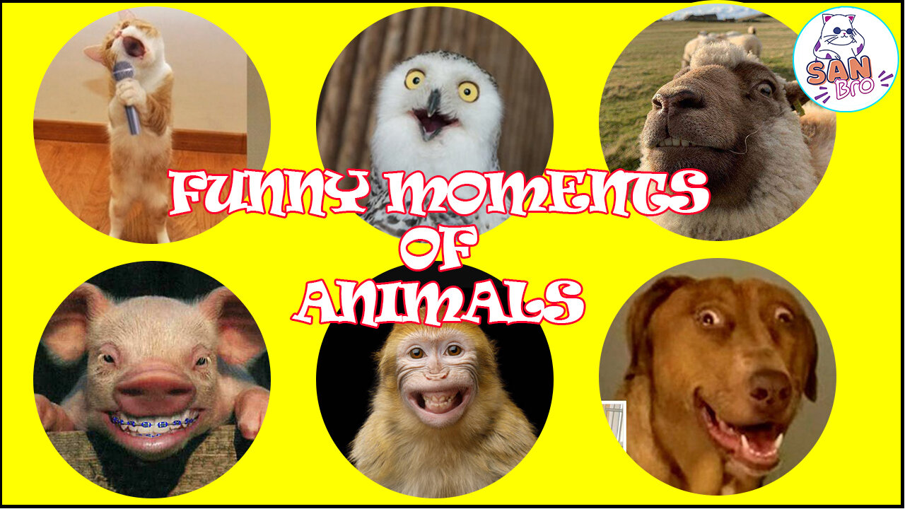 Top 30 Hilarious Moment of Animals | Funny Animals Compilation Video 2023