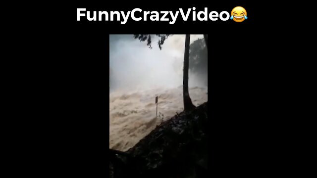 Mr FunnyCrazyVideo😂 Just Incredible Video Funny and Crazy #Like Follow for Follow 🥰