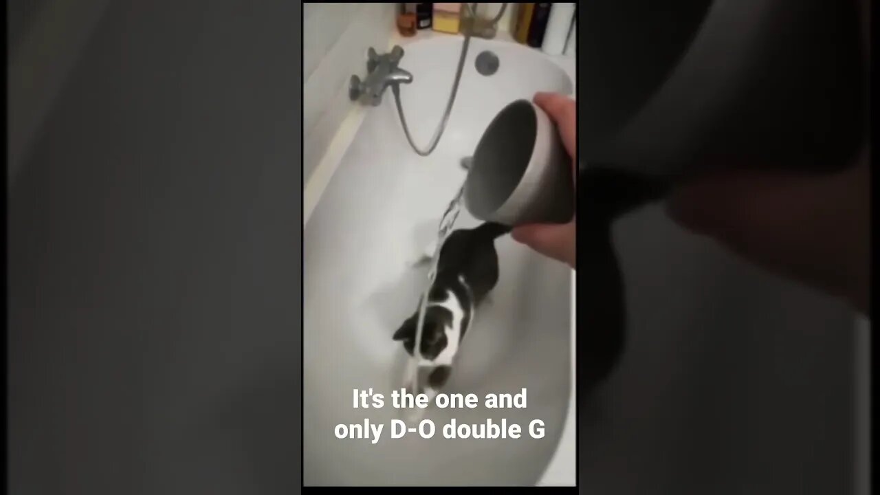 MEME is the one and only D-O double G #shorts