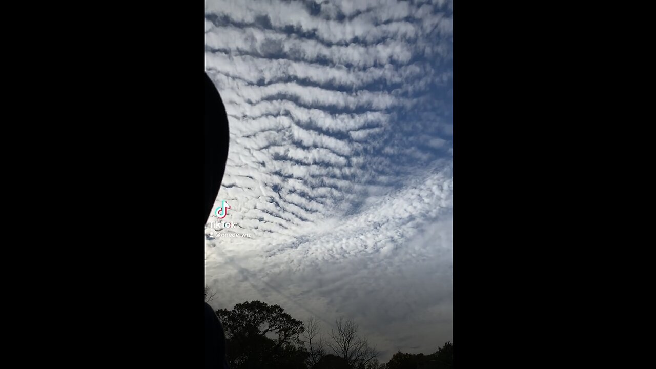 CAN SOME ONE PLEASE TELL WHAT IS THE X IN OUR SKIES.