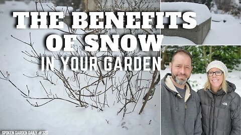 ❄ Benefits of Snow in Your Garden | Winter Garden - SGD 320 ❄