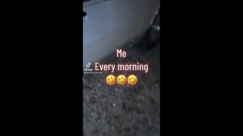 Funny video