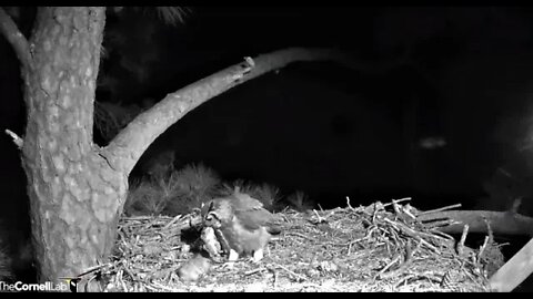 Mom Brings In Breakfast 🦉 3/2/22 03:08