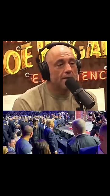 IT WAS FOCKING BANANAS (Language)