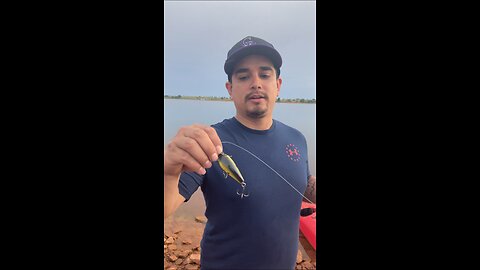 Catch Clean Cook Banger & Kayak ONLY!!!