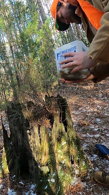 Opossum Bait Recipe | In the Field