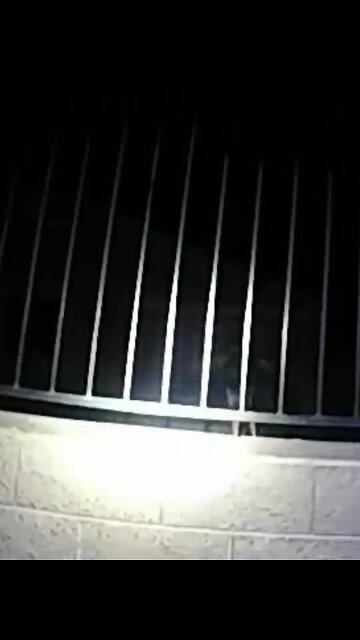 North Las Vegas police officer shoots armed man (enhanced)