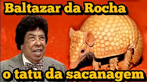 Escolinha do Professor Raimundo; Baltazar da Rocha, o tatu da sacanagem