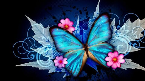 Minnesota Healing / Butterfly Collective / Feline King From Atlantis Channeling