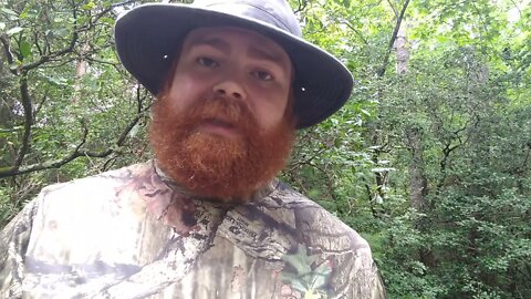 Random Bible Passage of the Day John 5:8