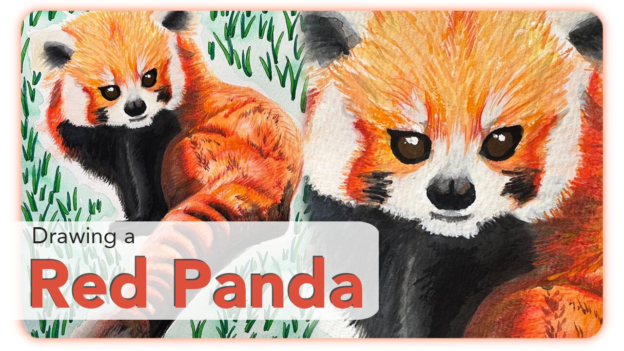 Adorable Red Panda watercolor - Adorable Panda Rojo en acuarela