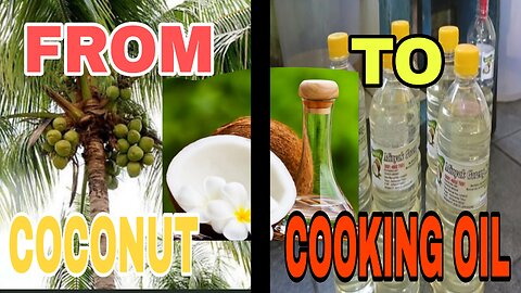 Preserving Heritage: Unveiling the Art of Traditional Coconut Oil Making in KALIMANTAN, INDONESIA