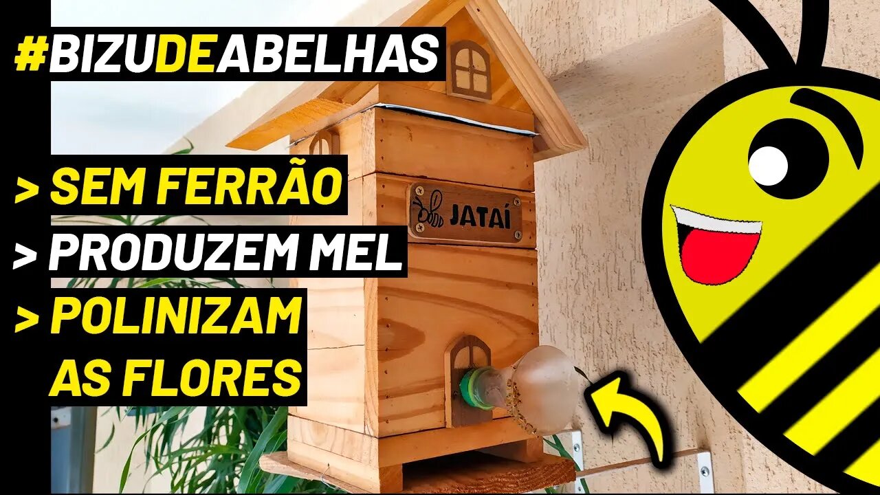 COMO CRIAR ABELHA JATAÍ EM CASA, APARTAMENTO OU SÍTIO | Meliponicultura #shorts