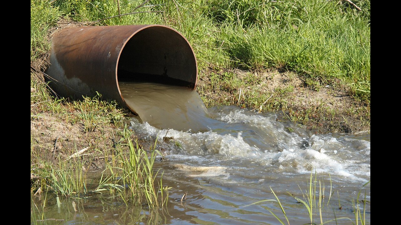 Raw sewage problem is a symptom of mass immigration