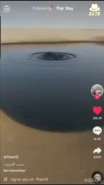 OIL is NOT from DINOSAURS🤡🤡🤡