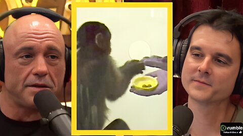 JRE Chimps and The Concept of Money