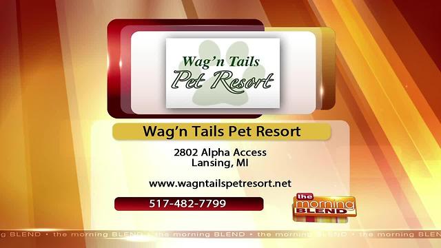 Wag'n Tails Pet Resort- 6/30/17