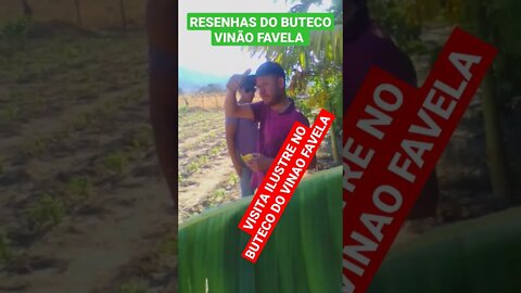 RESENHAS DO BUTECO VINÃO FAVELA