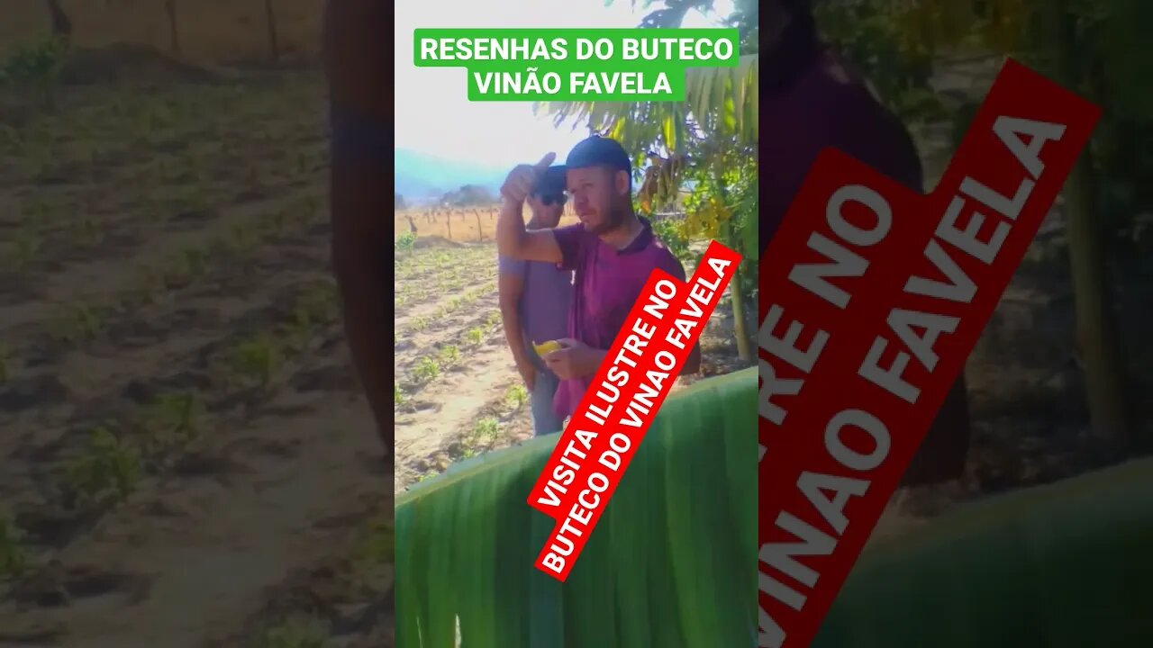 RESENHAS DO BUTECO VINÃO FAVELA