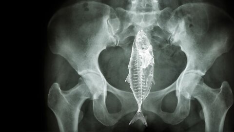 Don’t Pee Around This Fish