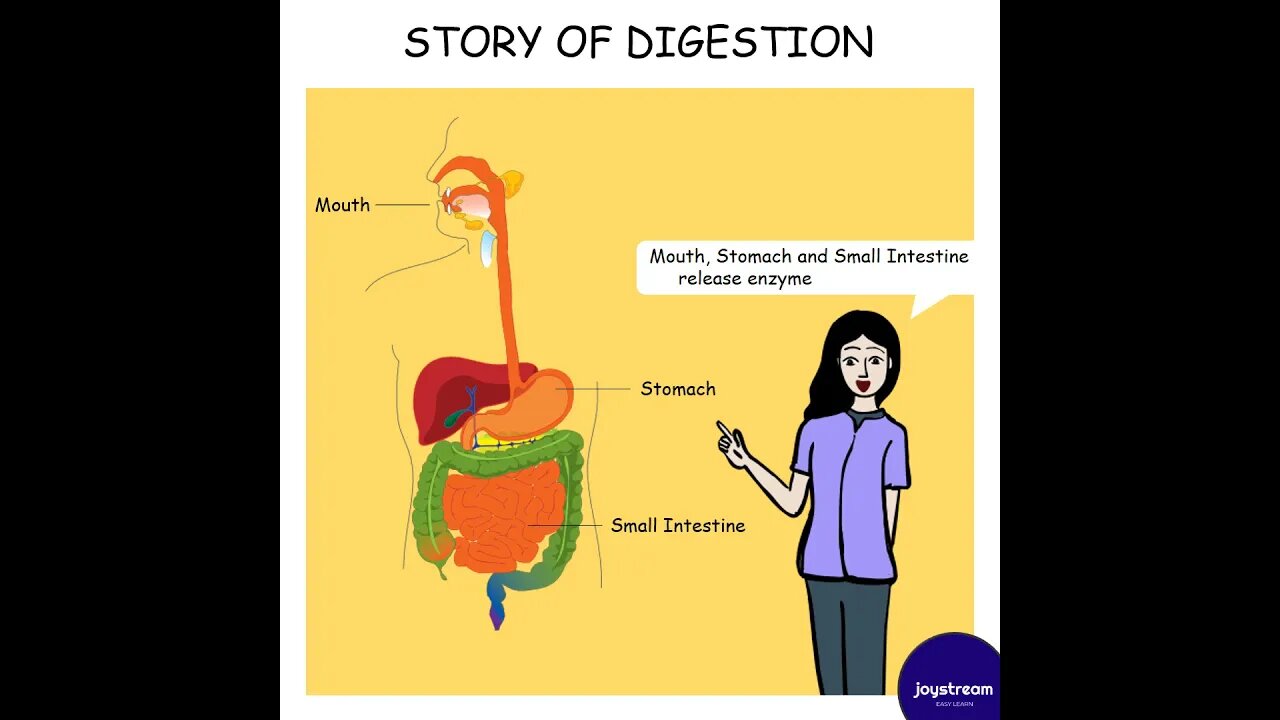 Story of Digestion | Digestive System explained as a story | Ben Stories #1