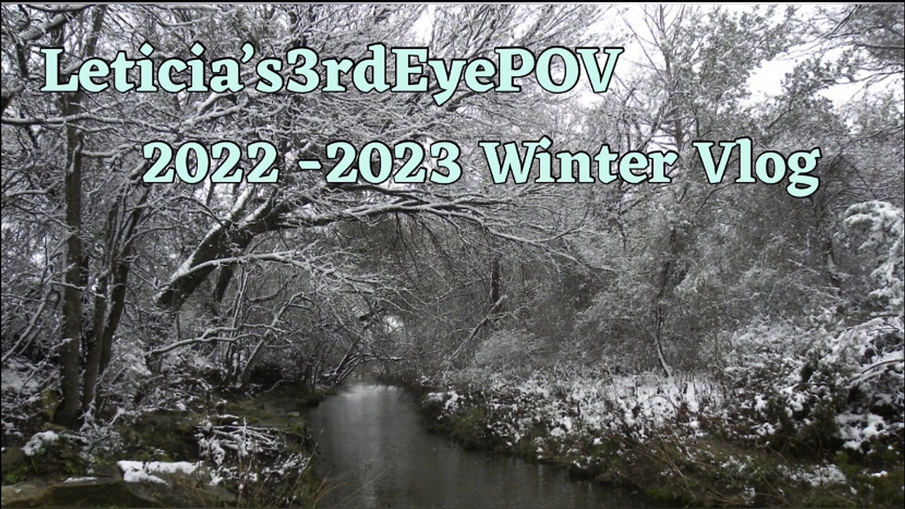 Winter 2022-2023 Vlog | From Winter Storms to Roasting Marshmallows
