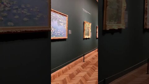 Monet Exhibit | The Art Institute of Chicago | Please visit - well worth it #shorts