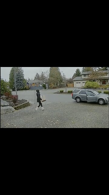 Woman gets caught stealing Amazon package