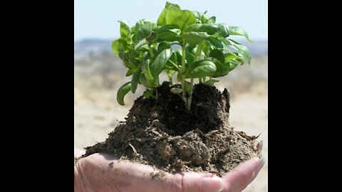 Mysterious Suicide Time????