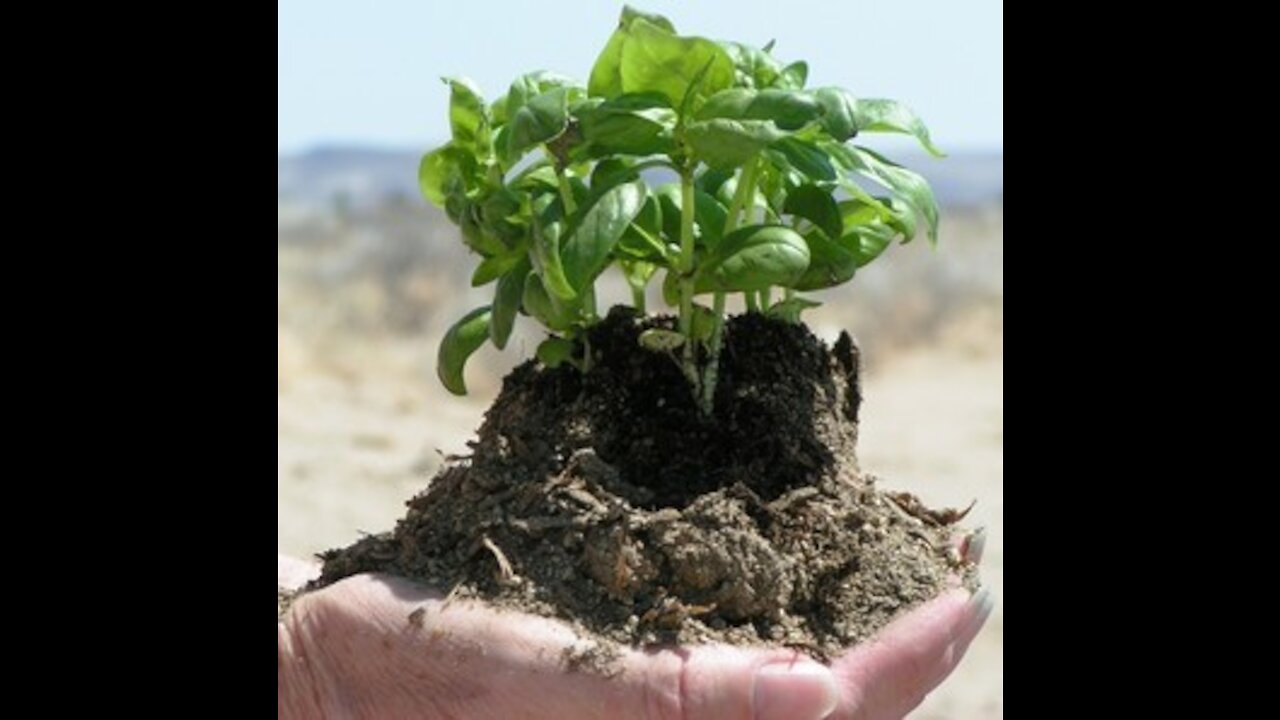 Mysterious Suicide Time????