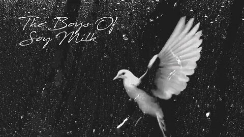 The Boys Of Soy Milk