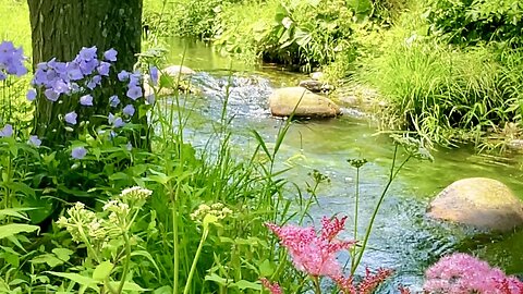 ☘️ Japan Hokkaido Garden Tour✈️ to Rokka no Mori（六花の森）🌳